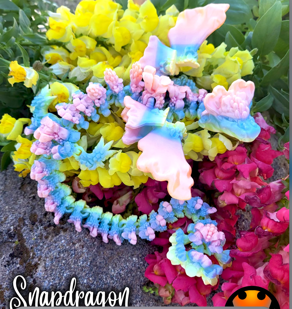 Snapdragon