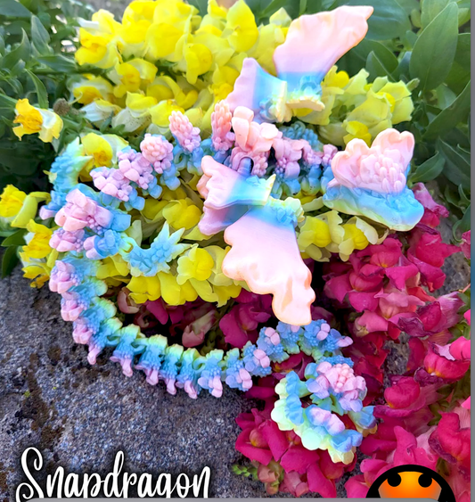Snapdragon